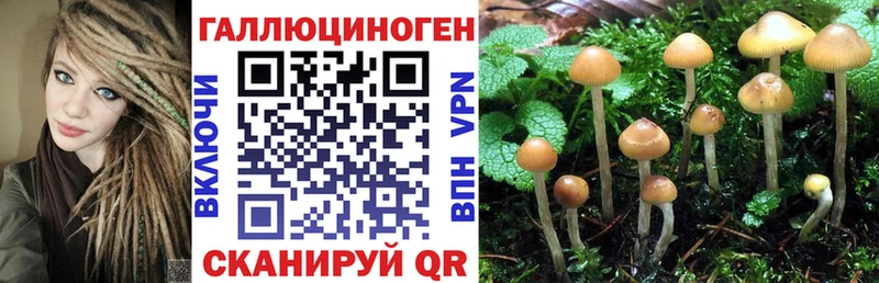 Псилоцибиновые грибы Magic Shrooms Кандалакша
